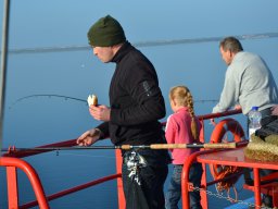 Competities HSV Alfheim